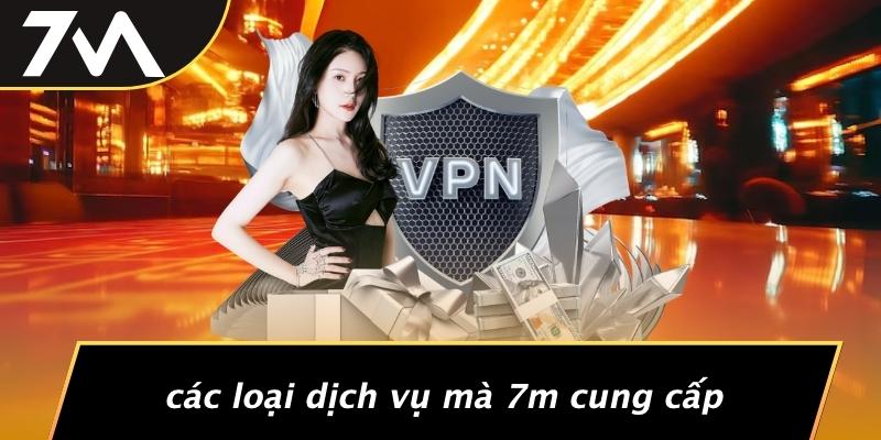 Các Loại Dịch Vụ Mà 7M Cung Cấp